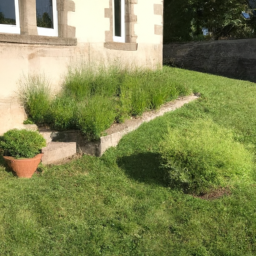 Elagage : éliminez les branches mortes et malades pour favoriser la croissance de vos arbres Nanteuil-les-Meaux