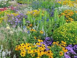 Obtenez les meilleurs plantes pour votre jardin à Beaulieu