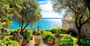 Jardin à Creteil : ajoutez une touche de tranquillité à votre jardin avec un magnifique bassin d'eau